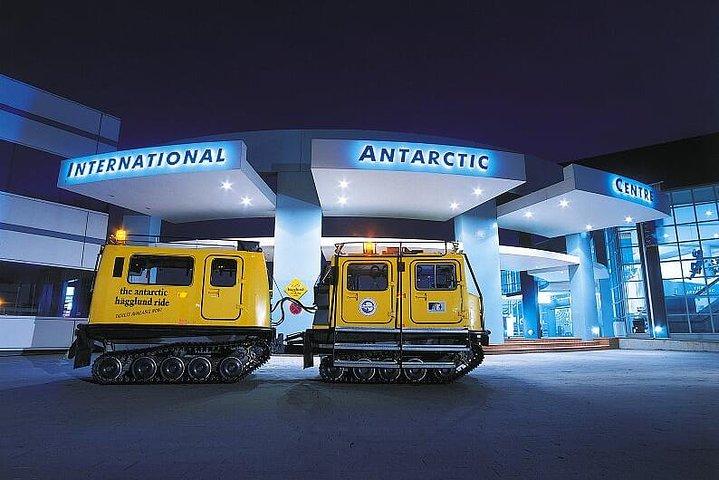 Lyttelton Shore Excursion: Christchurch Sightseeing with Antarctic Center
