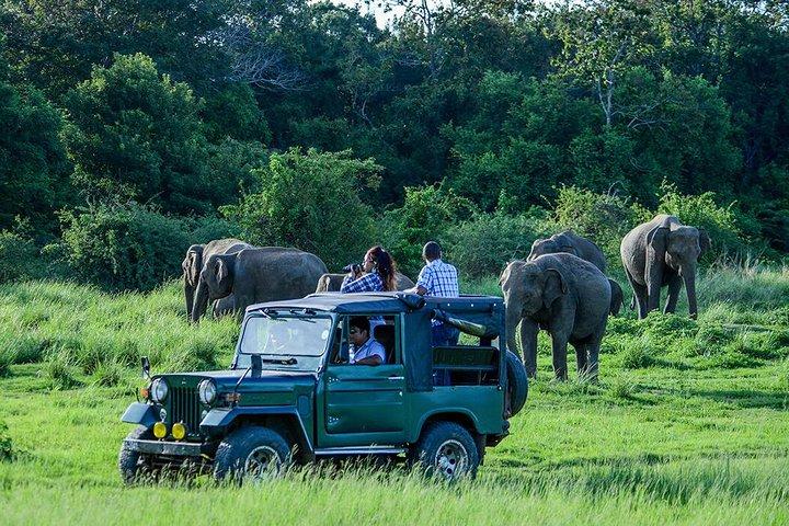 2 Days Tour of Double Safari (Yala & Udawalawe) - All Inclusive