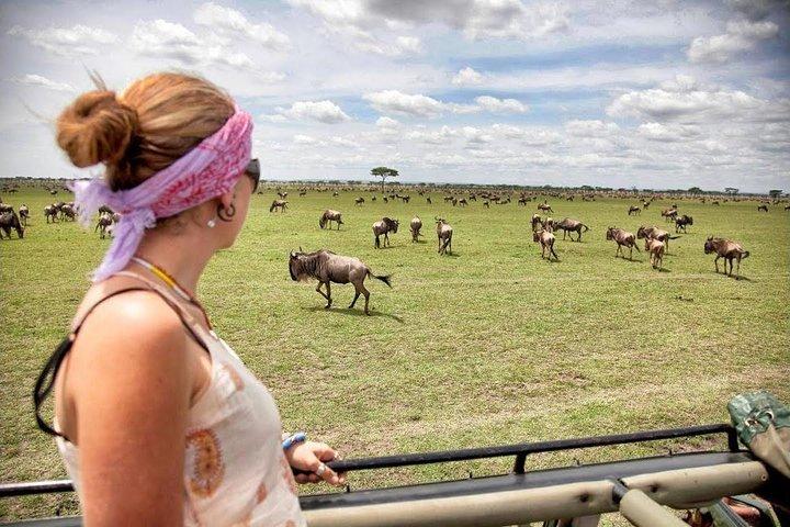 6 Days Masai Mara Wildebeest Migration Safari Holiday