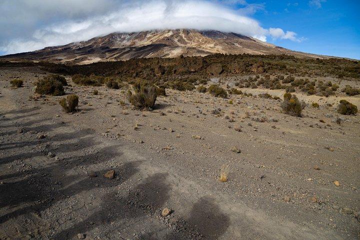 Kilimanjaro climb, Lemosho Route (6-day)