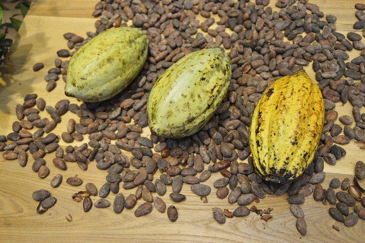 Chocolate and Cobblestones Tour with Taste of San Miguel