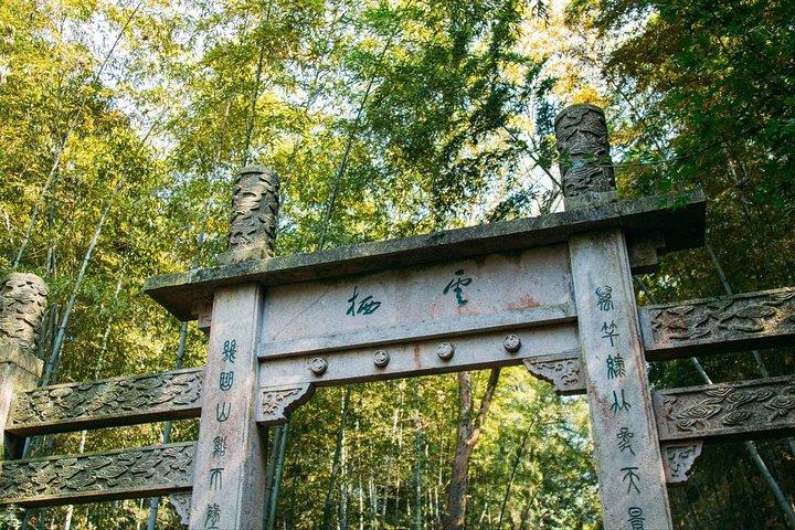 Half-Day Hangzhou Yunxi Bamboo Forest and Tea Plantation Experience