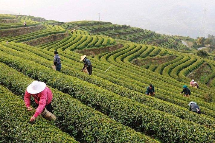 All-inclusive Customized Hangzhou Private Day Tour