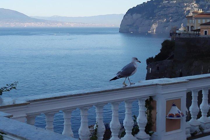 Best Of Naples Shore Tour In 1 Day: Pompei & Amalfi Coast & Limoncello Tasting