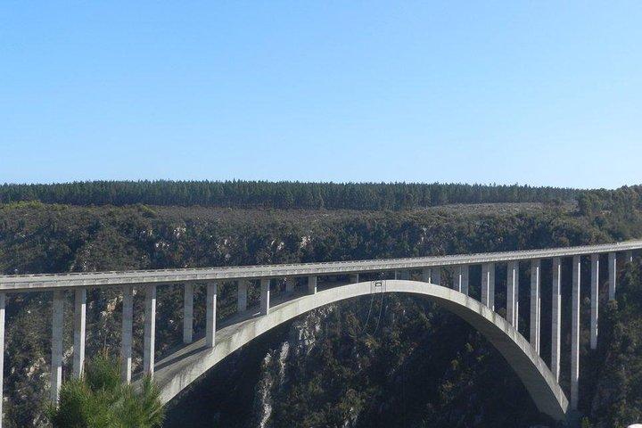 Fun and Adventure : Surges of adrenalin along the famous Garden Route - FD10