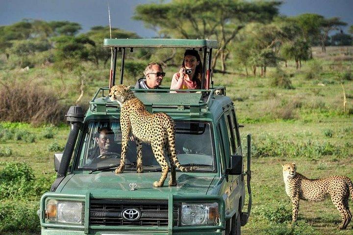 8 Days Masai Mara Wildebeest Migration Safari Adventures