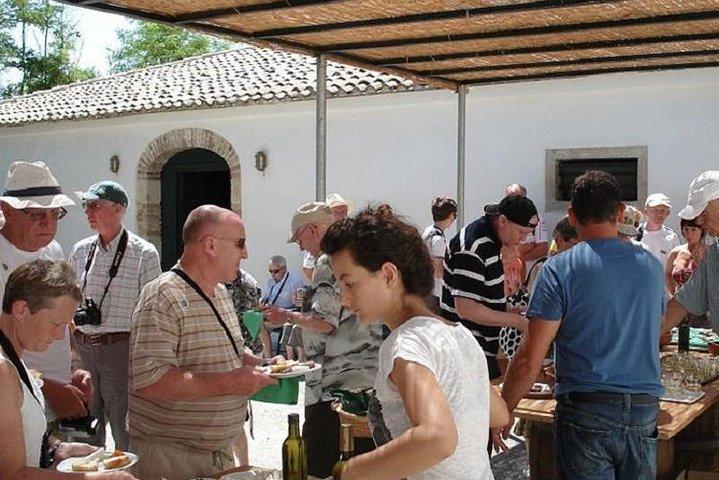Winery tour with Wine and Olive tasting in Corfu