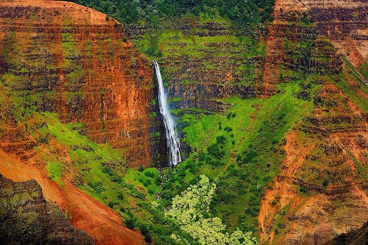 Kauai: Waimea Canyon and Koke'e Tour