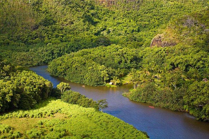 Day Trip from Oahu to Kauai: Waimea Canyon & Wailua River