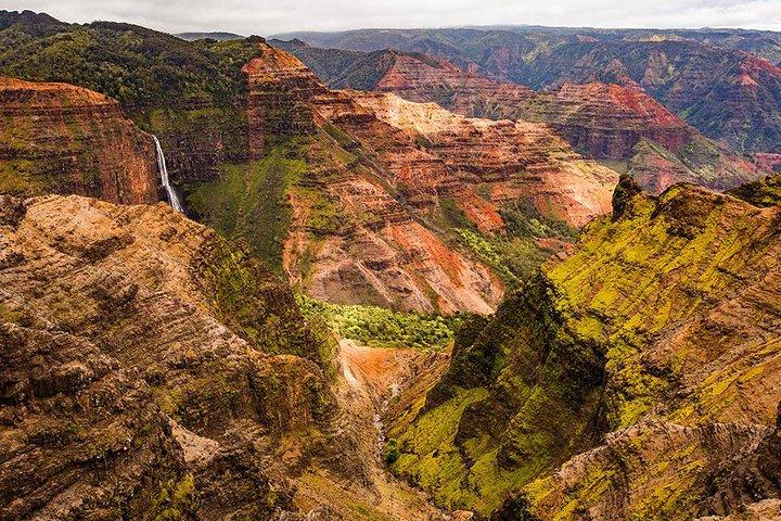 Kauai: Waimea Canyon and Koke'e Tour