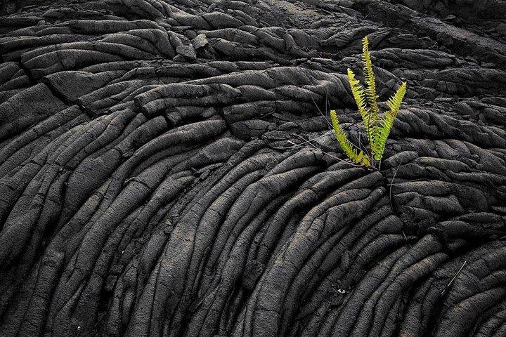 Day Trip from Oahu to Hilo: Volcano Adventure