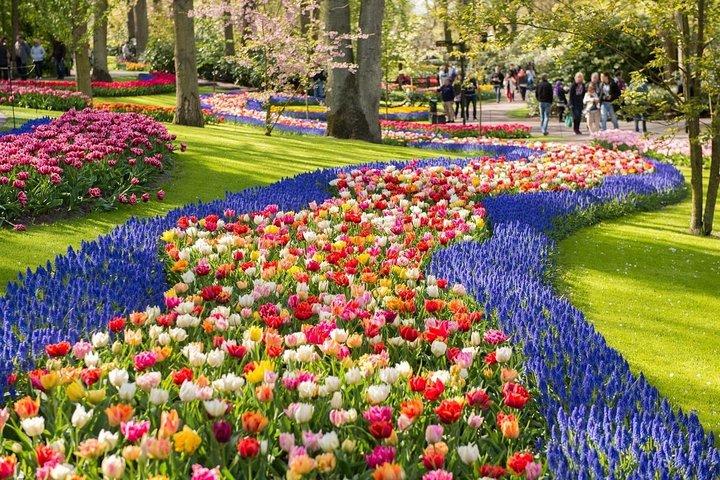 Tulip Experience and Keukenhof Flower Gardens Tour from Amsterdam