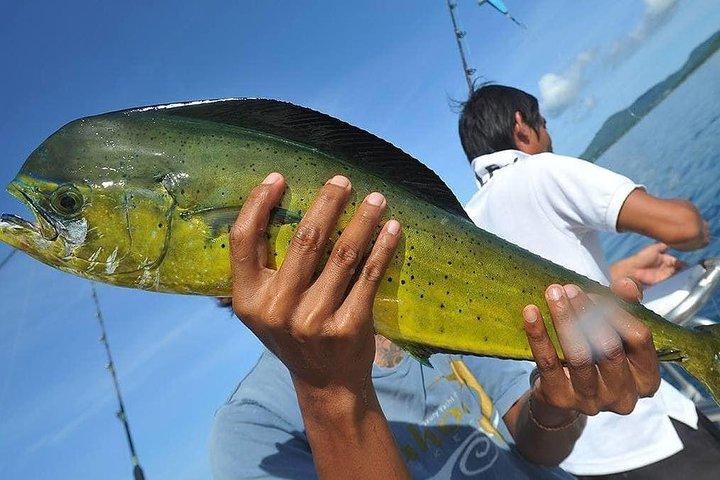 Ultimate Full-Day Big Game Fishing & Trolling Tour
