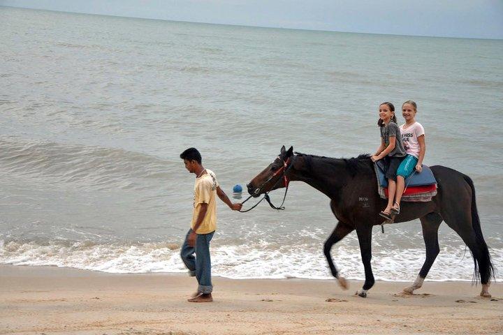 Krabi Horse Riding at Ao Nam Mao Beach