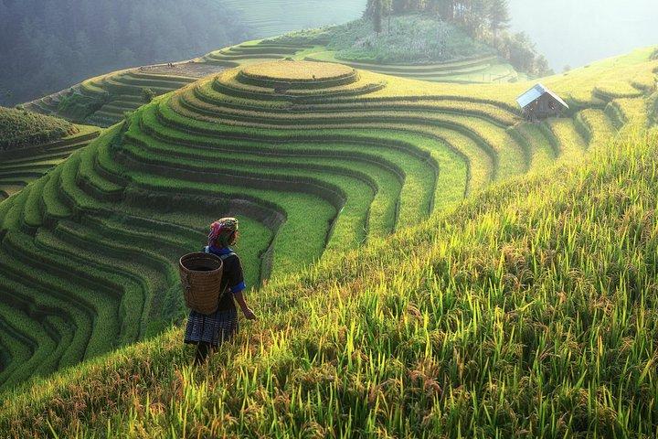 3 Days 2 Nights Sapa Tour