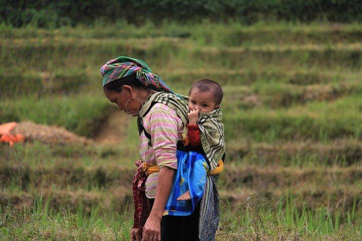 3 Days 2 Nights Sapa Tour