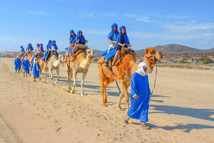 From Agadir or Taghazout or Port 2 Hours Camel Ride