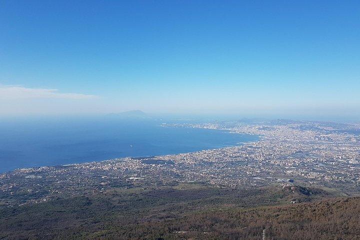 Vesuvius: Half Day Trip from Naples