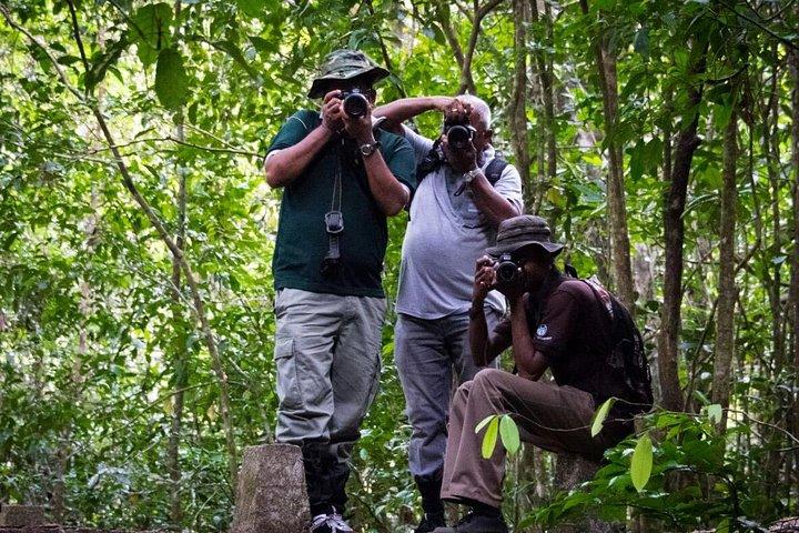 From Galle: Guided Nature Trail to Kanneliya Forest