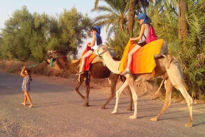 Marrakech Camel Ride Tour