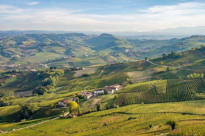 Private Tour: Barolo Wine Tasting in Langhe area from Torino
