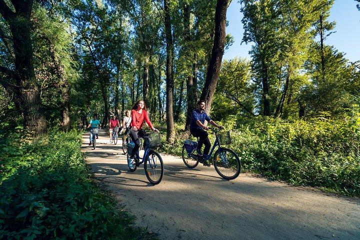Half-Day Warsaw City Sightseeing Bike Tour for Small Group