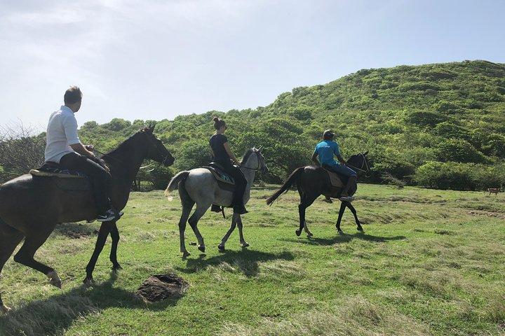 Private Advanced Horseback Beach Ride with Sandy Hoofs St. Lucia