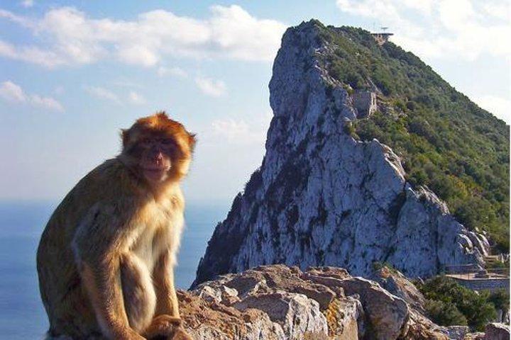 Historic Gibraltar Rock and St Michael's Cave Tour from Seville