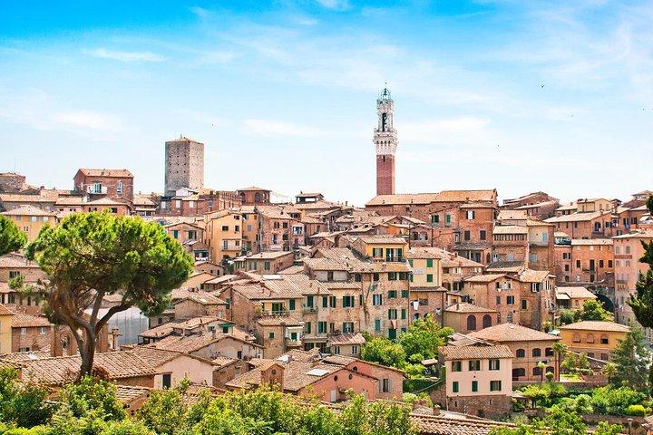 From Pisa or Lucca: Siena and San Gimignano Small Group Tour