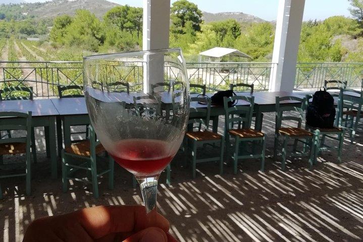 Butterflies Valley & Wine Tasting Experience Private Tour