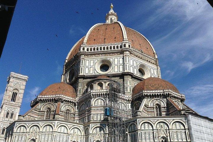 Private 4-Hour Tour of Florence with private driver and guide with Hotel pick-up