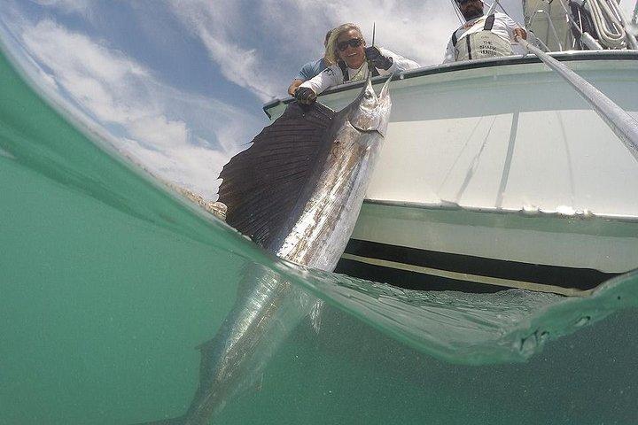Miami Big Game Deep Sea Fishing Charter