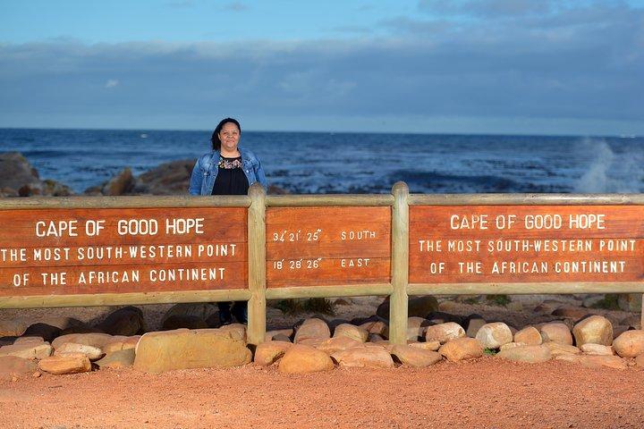 Best of Cape Town Full-Day Private Tour with Table Mountain