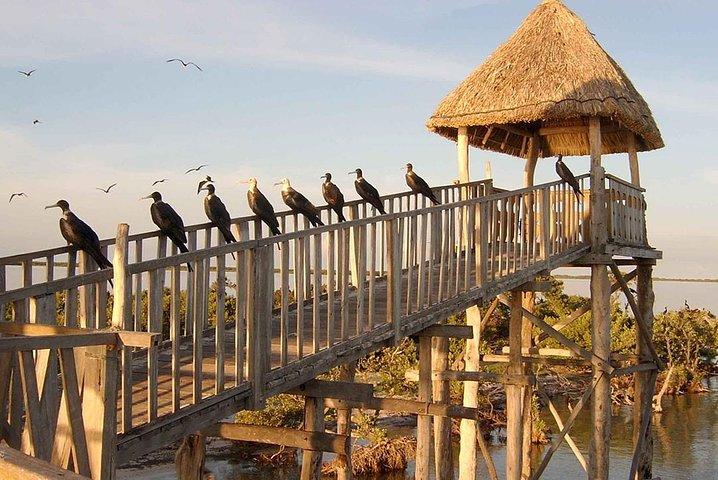 Magic Island Holbox! Experience From Cancun & Playa del Carmen