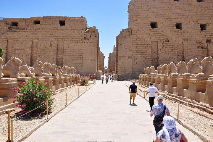 4 Nights Cruise Luxor To Aswan and Abu Simbel with train rounded trip from Cairo