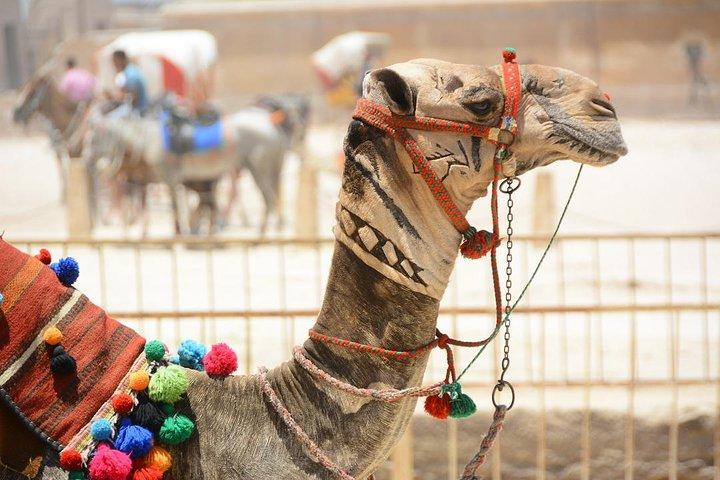 Day Tour to Giza Pyramids, Cairo Downtown, & Islamic Cairo