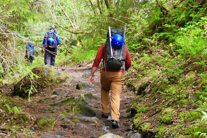 Mendenhall Glacier Guided Hike Juneau