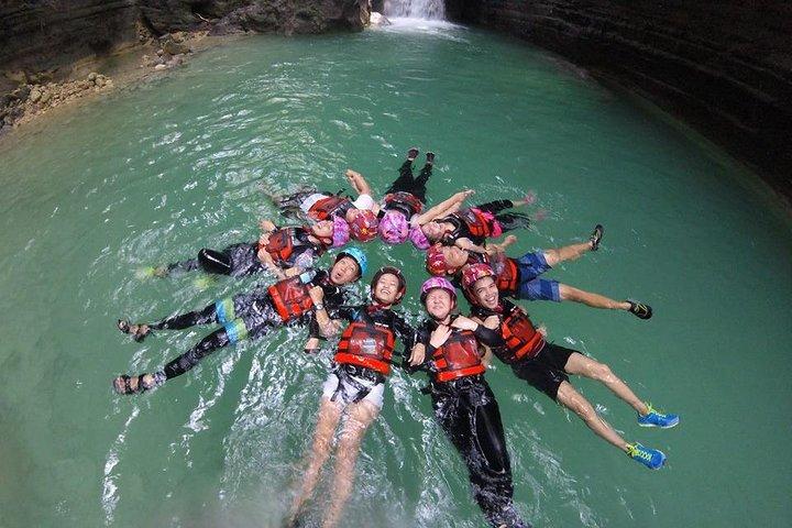 Oslob Whale Shark Swimming and Kawasan Falls Swimming Tour
