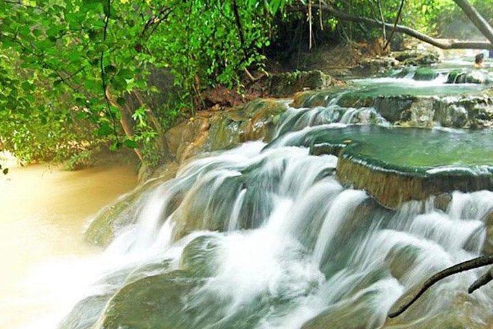 Half Day Jungle Tour to Emerald pool and Krabi Hot Spring