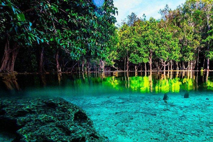 Half Day Jungle Tour to Emerald pool and Krabi Hot Spring