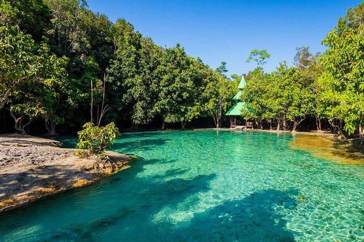Jungle Tour to Emerald Pool, Krabi Hot Spring and Tiger Cave Temple