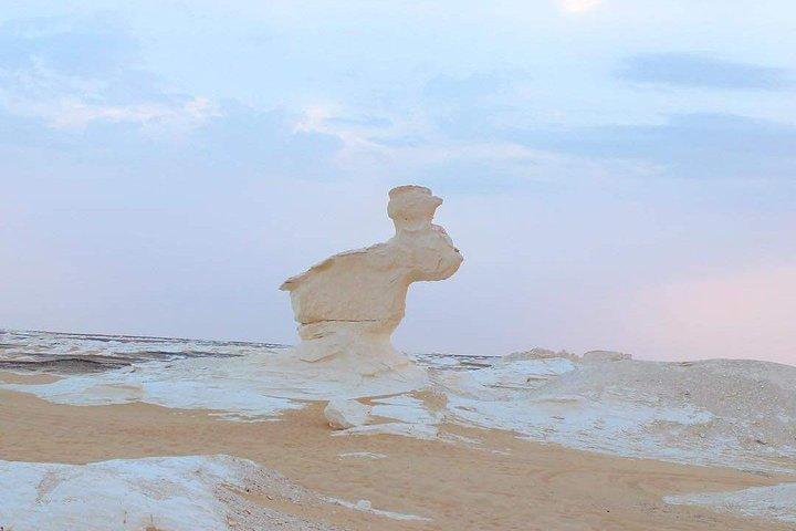 Private Day tour to Alexandria from Cairo