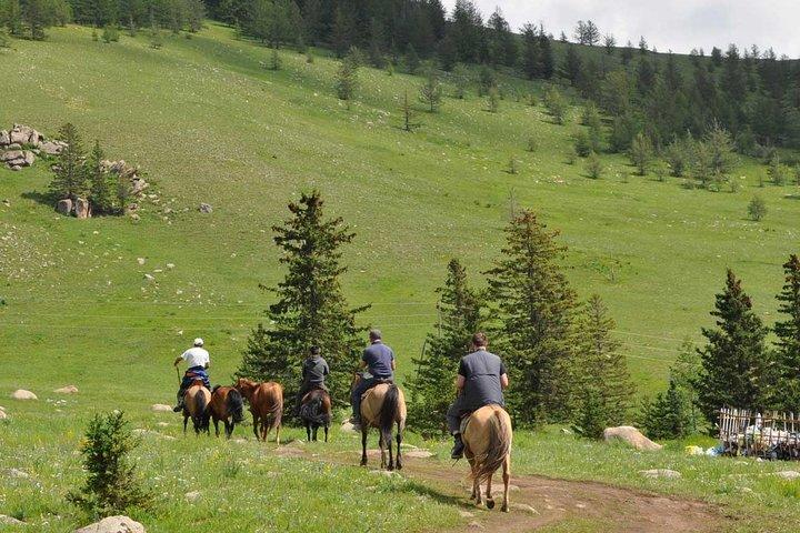 2 Days Tour: Terelj National Park And Chinggis Statue