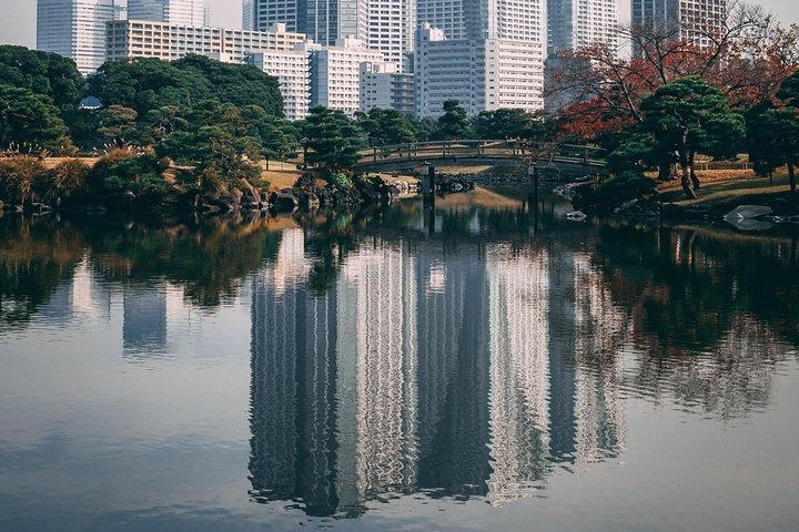 Introductory Tokyo Tour for the first timers: learn basic Travel tips and tricks