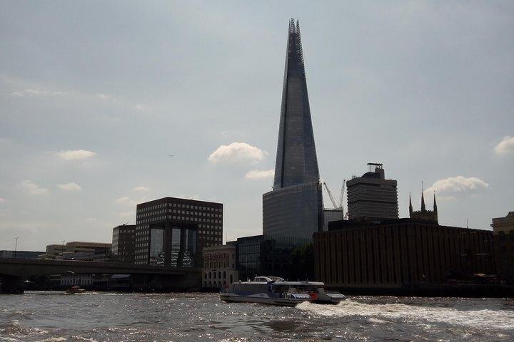 Private Driver Guided Tour of London
