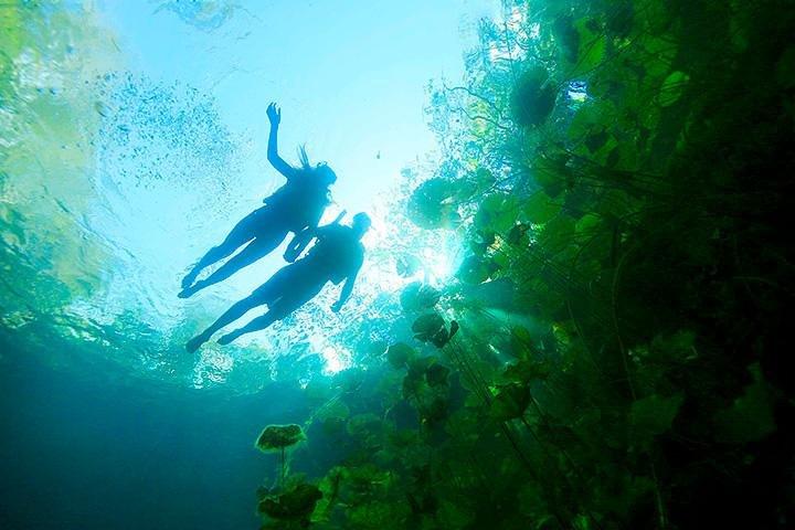Sacred Adventure at Xenotes! 4 Different Cenotes + Transportation