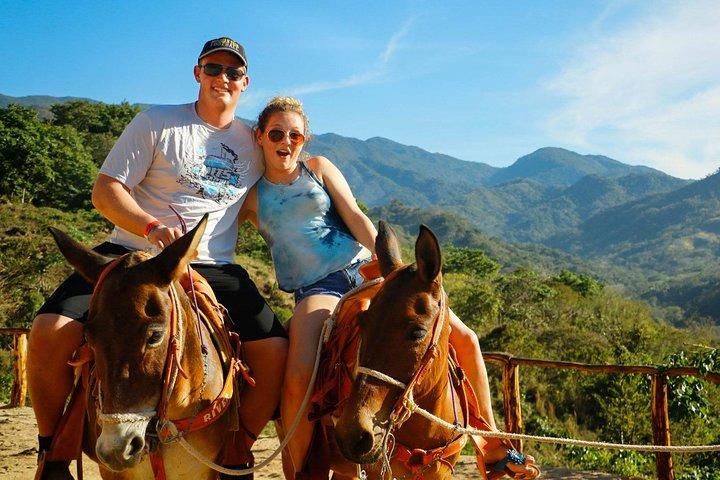 River Park Zipline Tour and Mule Ride