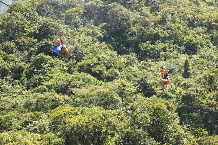 River Park Zipline Tour and Mule Ride