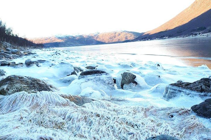 Fjord, Mountain and Wildlife Tour
