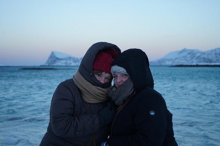 Fjord, Mountain and Wildlife Tour